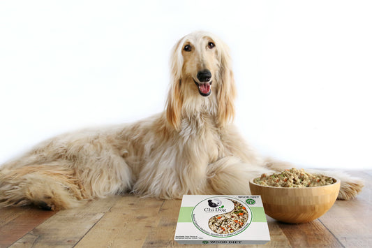 What is the Best Dog Food for Overweight Dogs? Introducing the Best Diet for Overweight Dogs