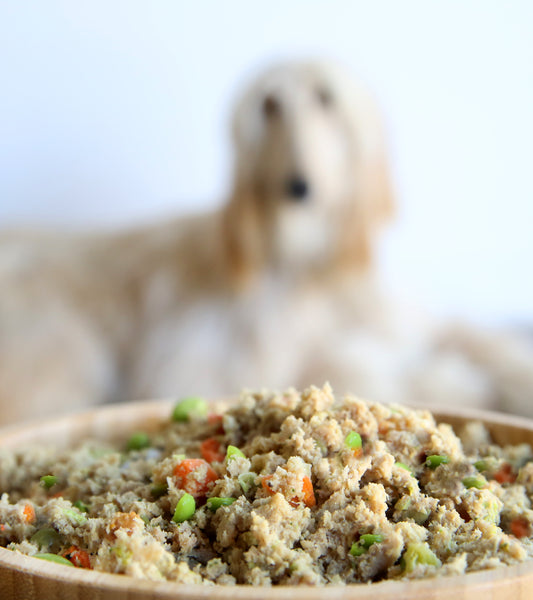 What to Feed a Dog With Inflammatory Bowel Disease (IBD)