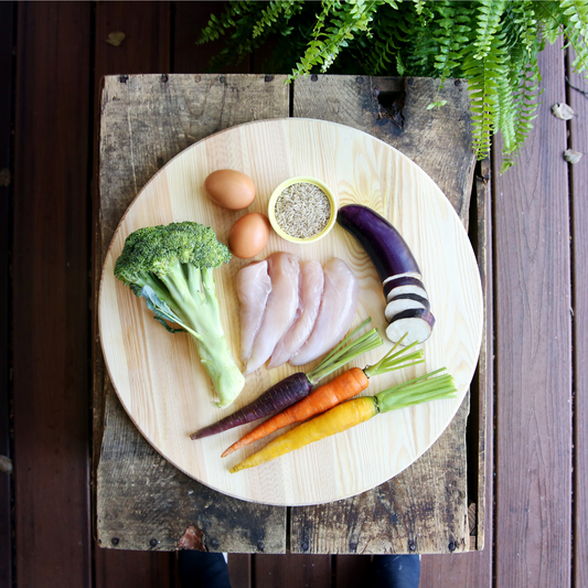 Sensitive Stomach Dog Food: Is A Raw Diet The Best Option?