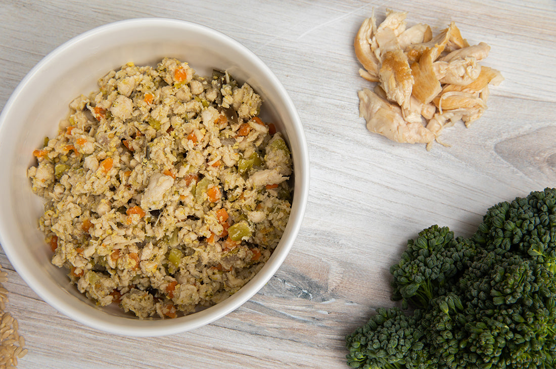 Best Dog Food For Sensitive Stomach: Vet Advice on What to Feed a Dog With Sensitive Stomach