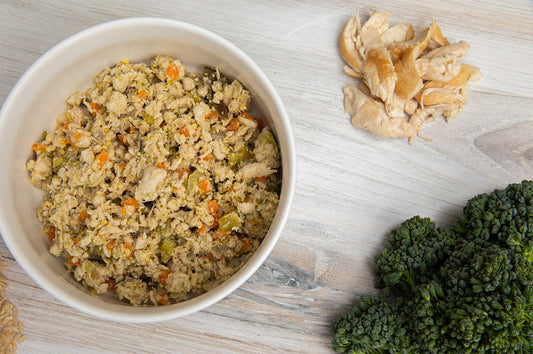 Best Dog Food For Sensitive Stomach: Vet Advice on What to Feed a Dog With Sensitive Stomach