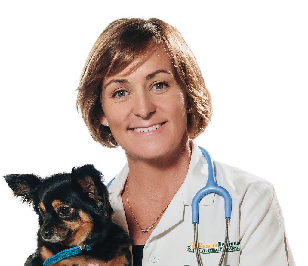 our-story-video-poster