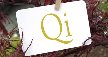 What is Qi?