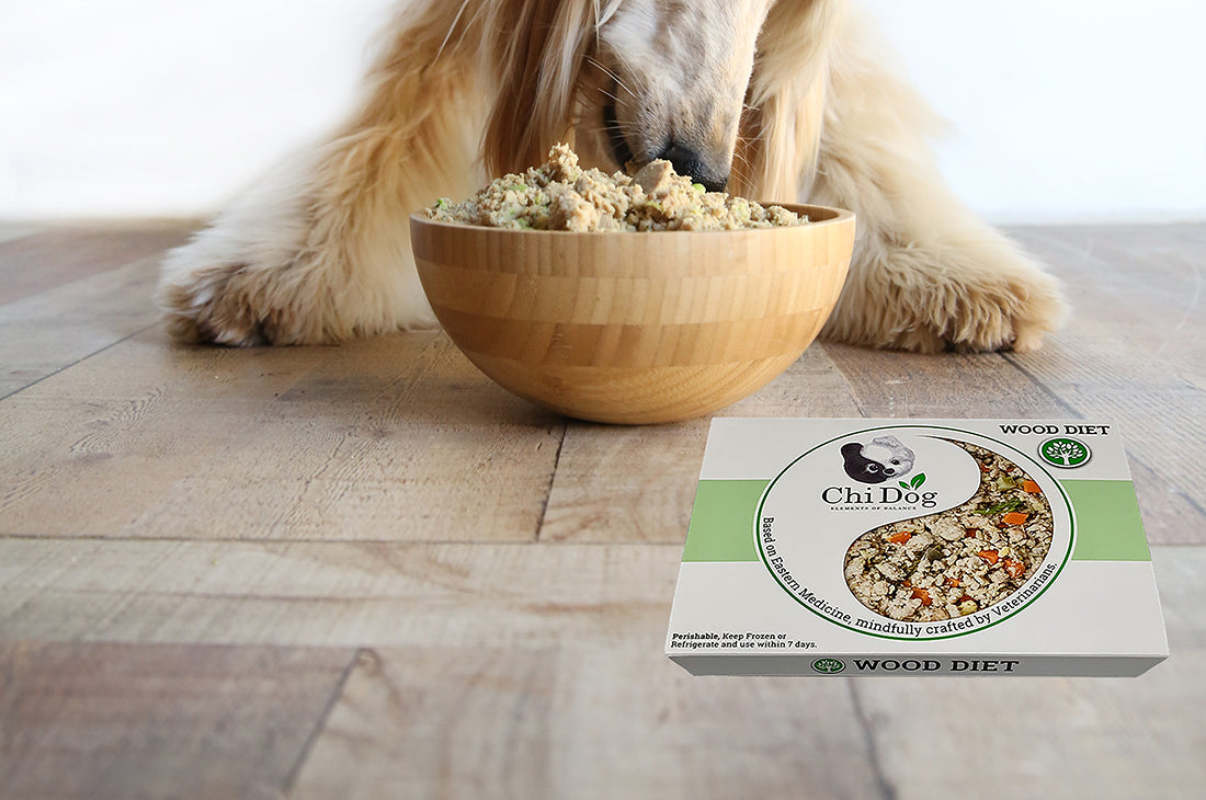 A Holistic Medicine approach to Different Types of Dog Food