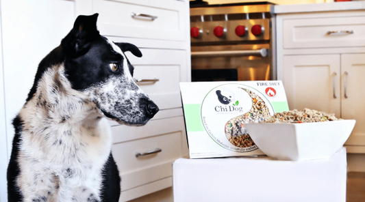 Low Fat Dog Food: Exploring the Benefits