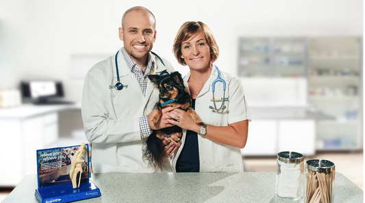 Vet Developed Dog Food: Supporting Your Dog’s Health