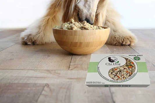 Intestinal Inflammation in Dogs: Choose Whole Food Instead of Processed Food