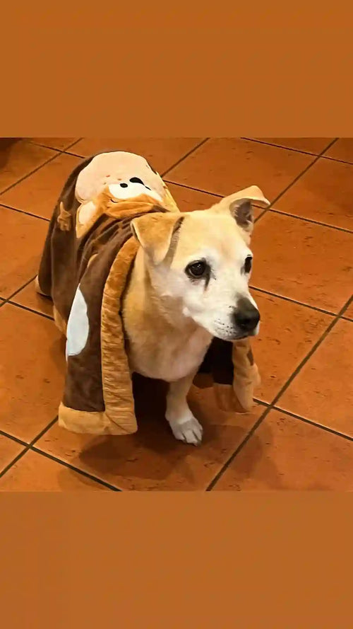 Customer Dog Picture