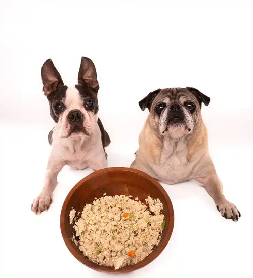 Customer Dog Picture