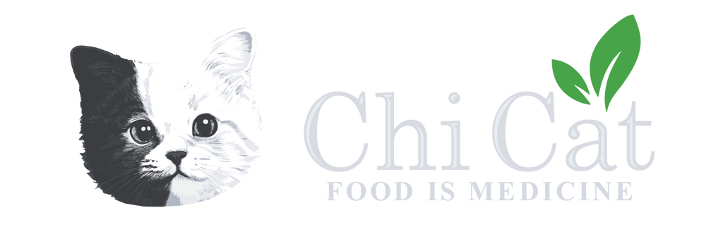 Banner Logo Image