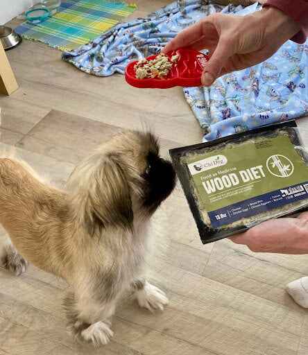 Customer Dog Picture