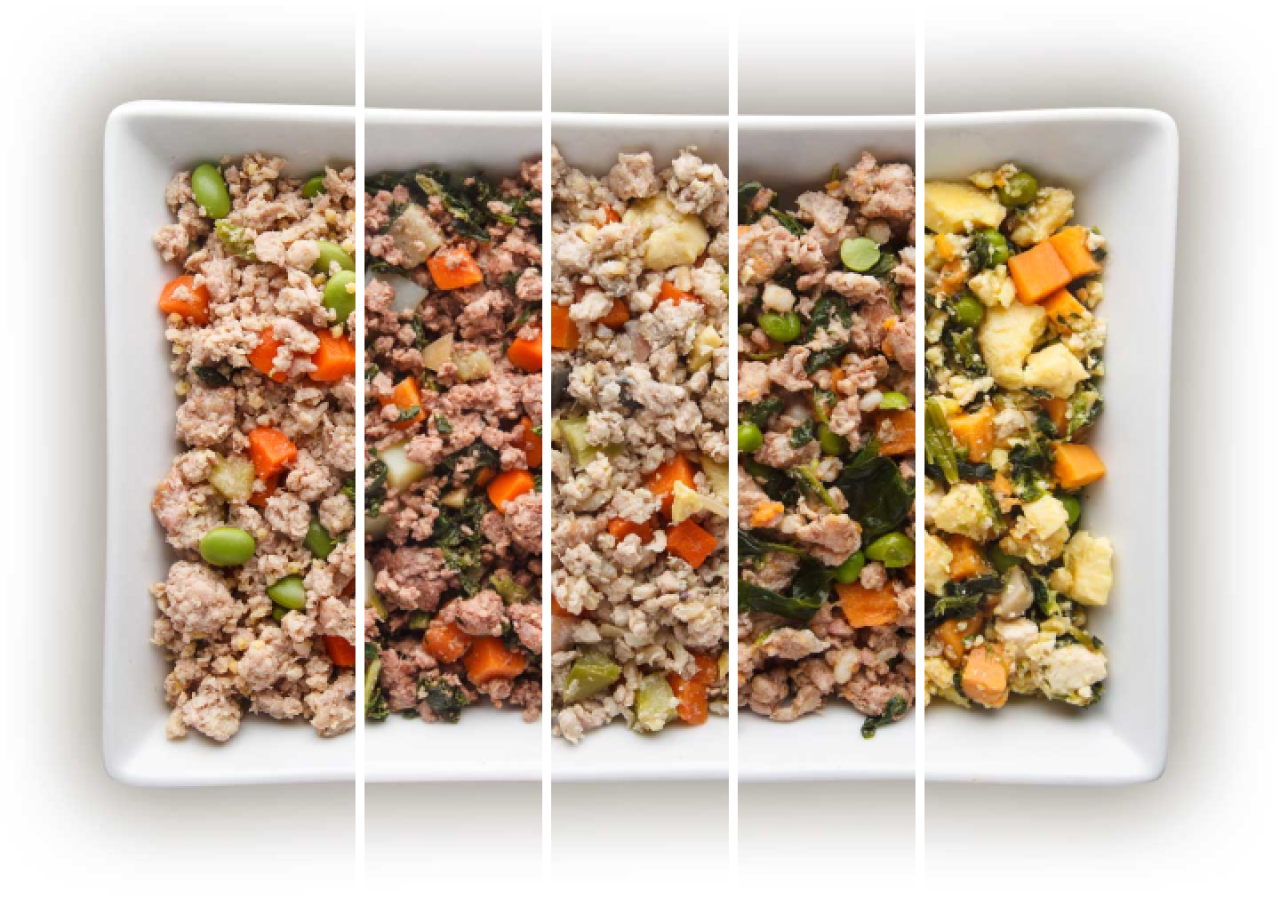 Custom Food Therapy Meals For Dog Chi Dog - Main Image