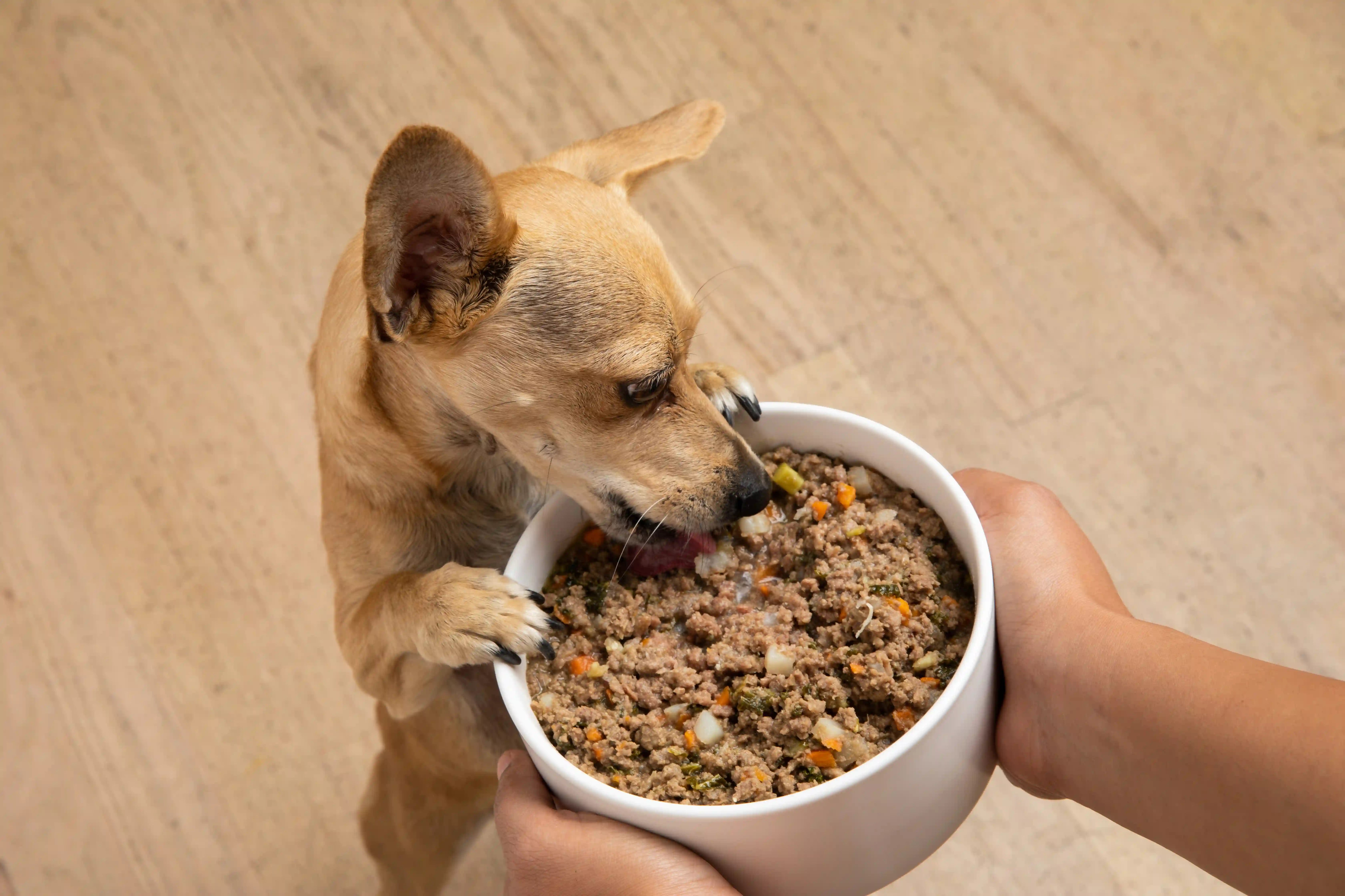 Earth Diet Thumbnail