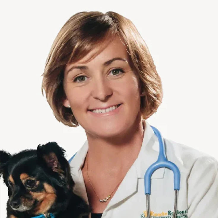 Dr. Susan Bohrer